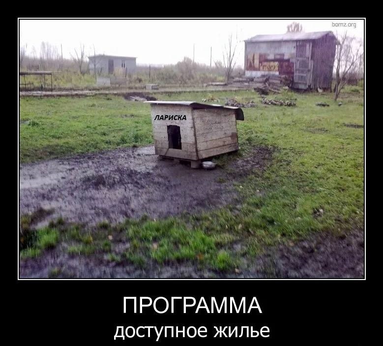 Лариска покусает:) - Юмор, Фотография, Смех (реакция), Собака, Будка, Доступное жилье