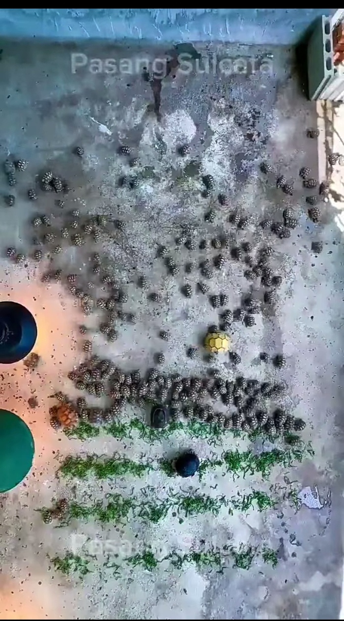 ����� �� ���� ���������� �������� � ������� ��������, ������� ����������