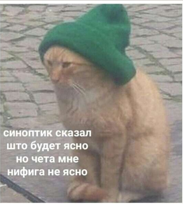 ������ � ������