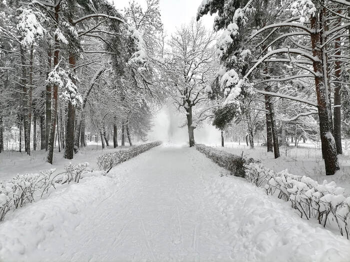 Александрийский парк. Петергоф