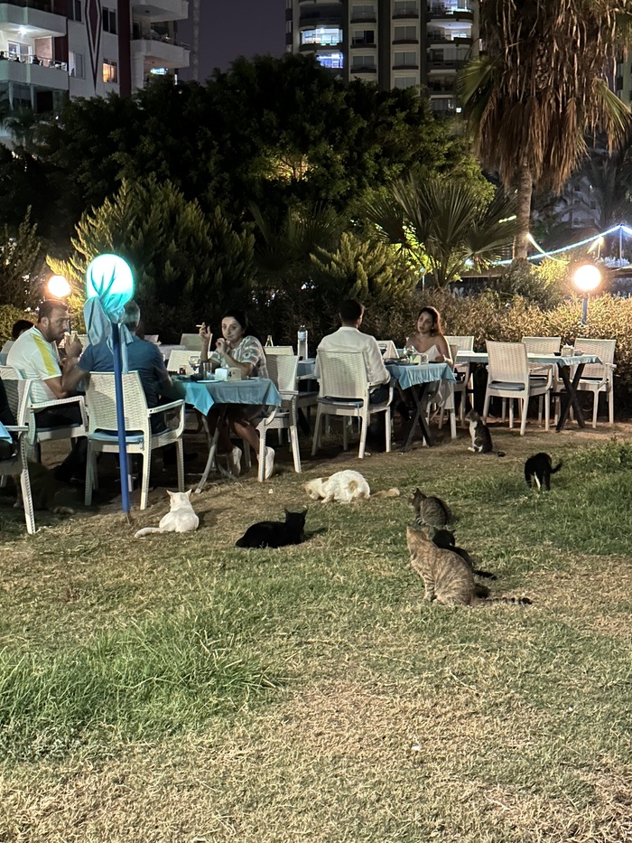 ���� �� ���������� �������