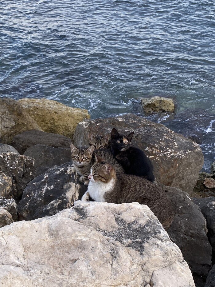 �� ���������� ������� �� ����� �����