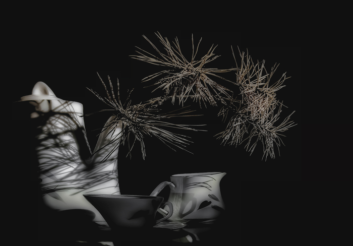 ����� ���������� ����