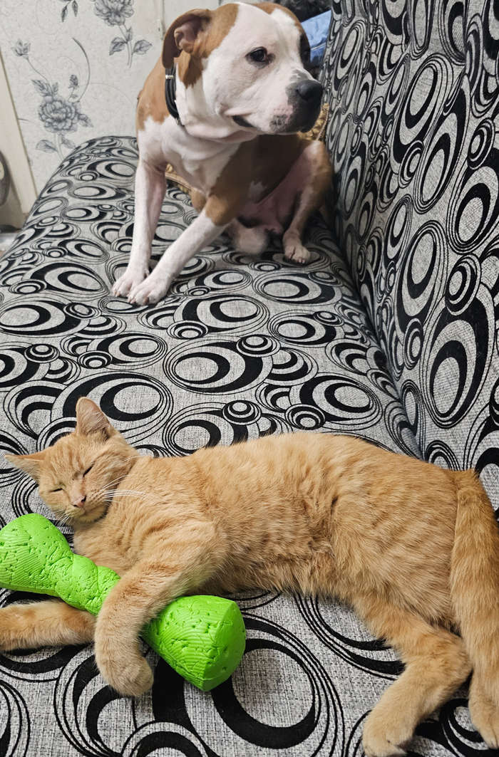 ����� ��� ������ - ���� � ���� ������� ��������. � ���, ��. ������ �, ����� �� �����?