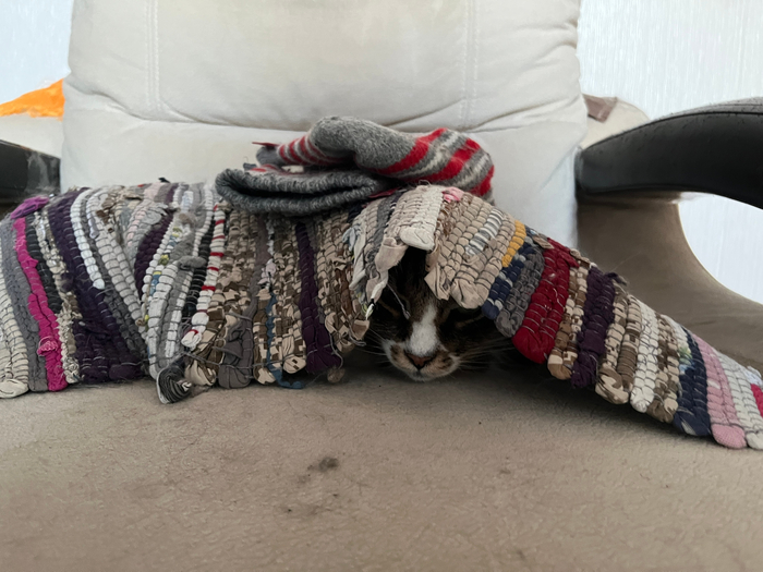 �������, ������������ �������