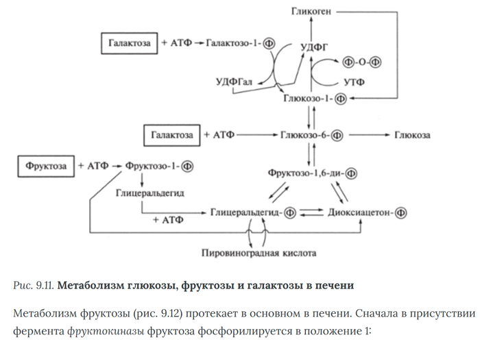 ��� ����, �� �������� �������� ����� ������������������ � ������� �������������. ����� ��������, ������� ����� ������������ � �������. 