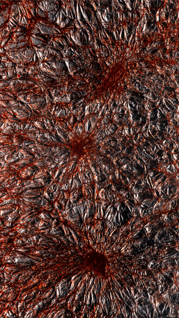 Мезокарпий