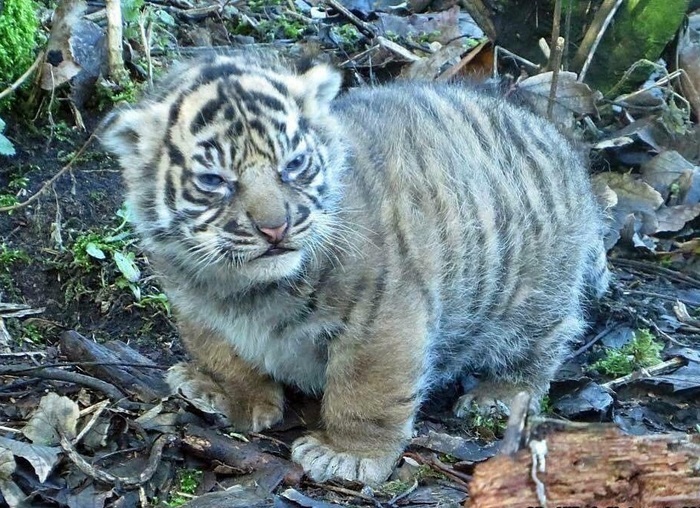 ������� ��������...