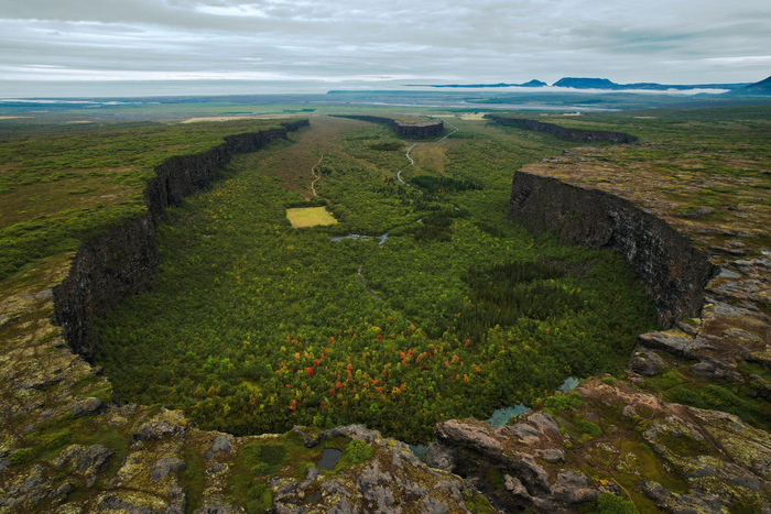 ������ �������