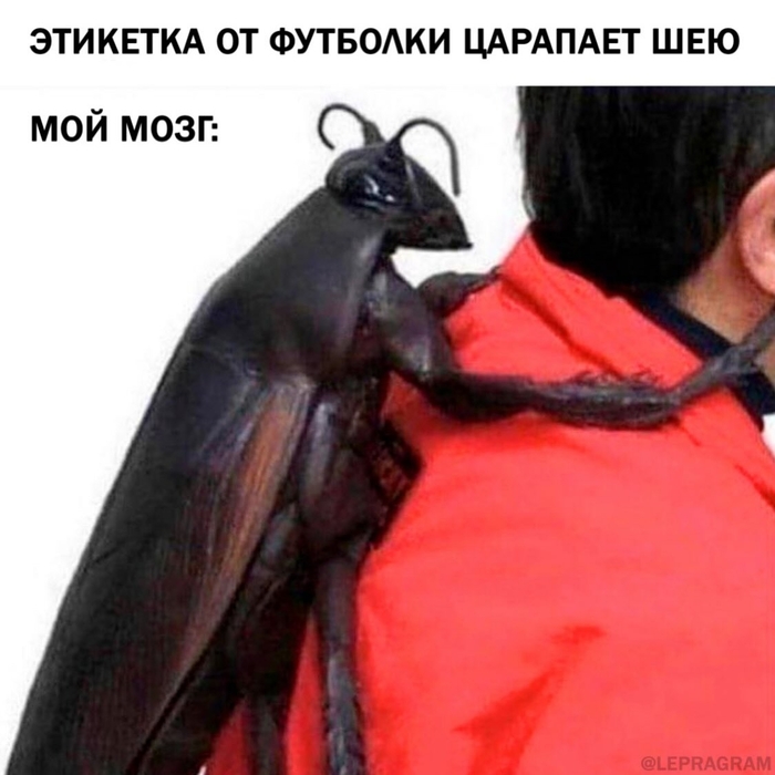 ������ ���