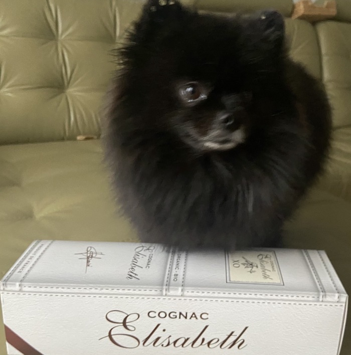 У нас с хозяином одни слабости