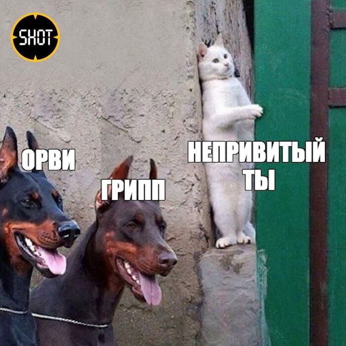 А вы прививаетесь?