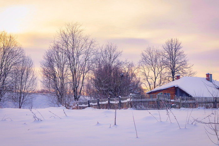 ������ ���� � �������