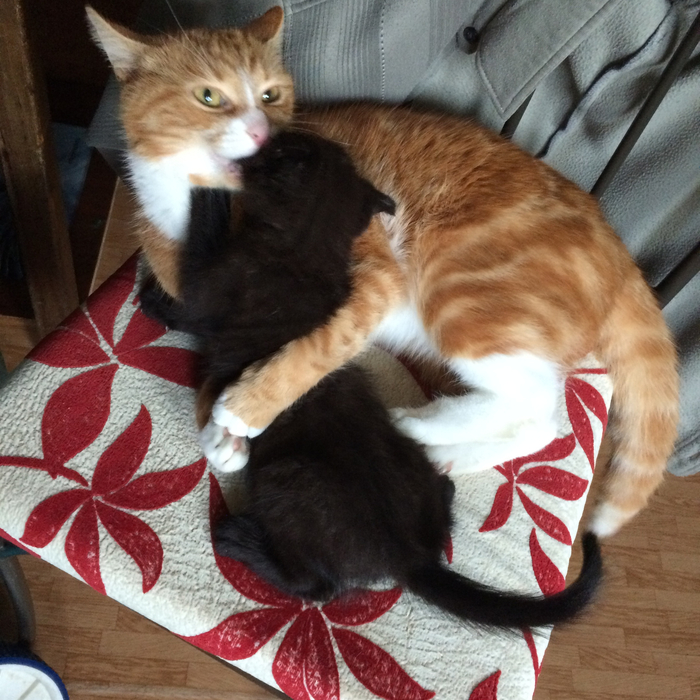 �� ������ �� ����� ������ ��������� II