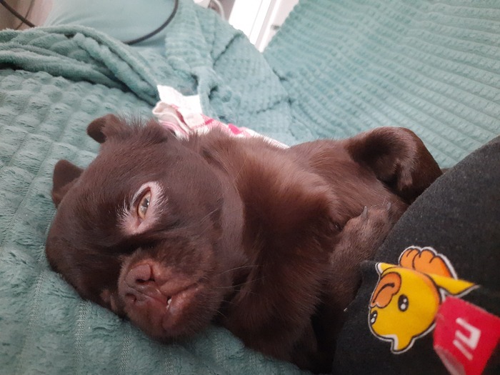 ���������  ���� � ��������� ����