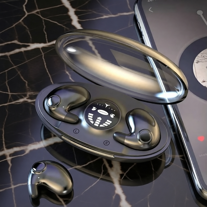 ������������ ��������