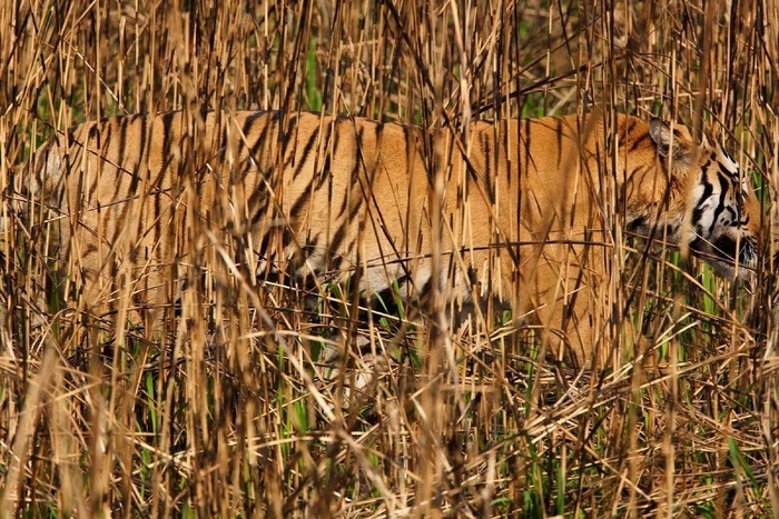 Без комментариев.