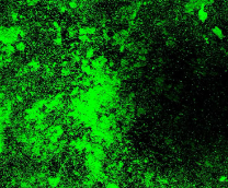 ������� ������� ��� ������������