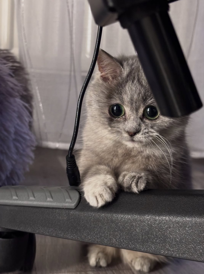 � ����� ������?