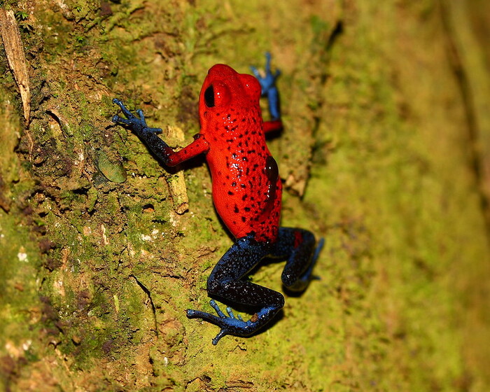 ����� ����� ����������� �� ����� �����