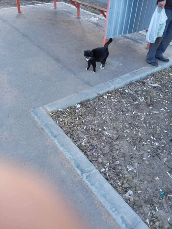 ������ �� ���� �� ������, ������� �������� �� ���������. ��� ���� � ����� ������������