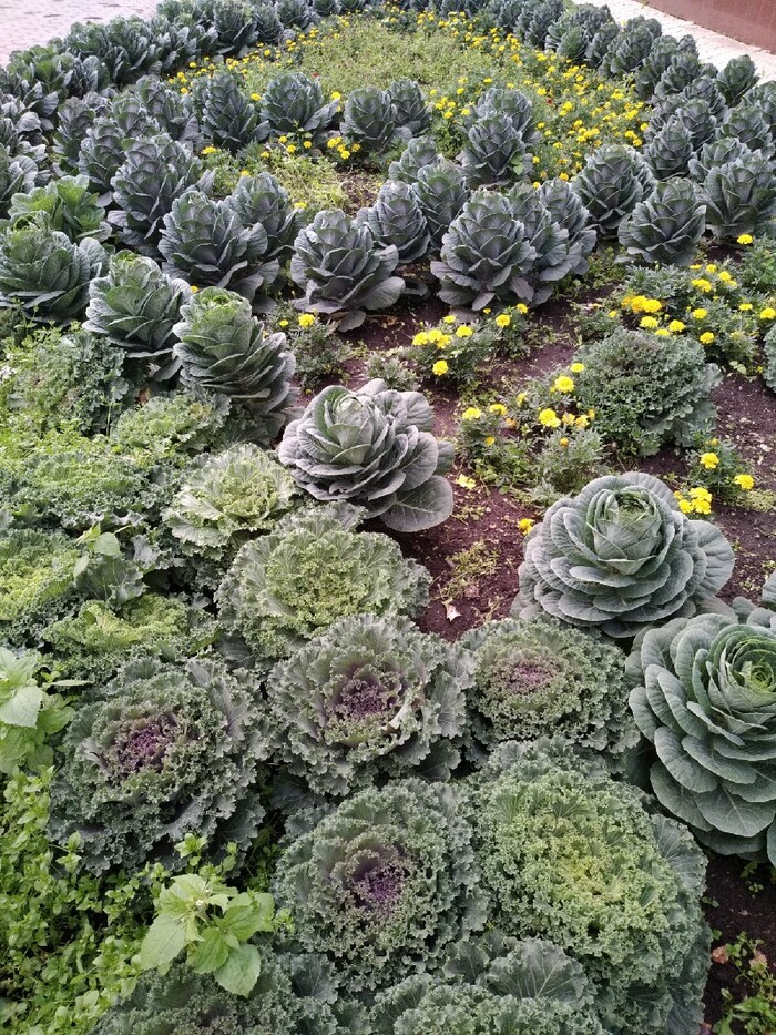 ����� ����� ������� � ���������. ����� �������!