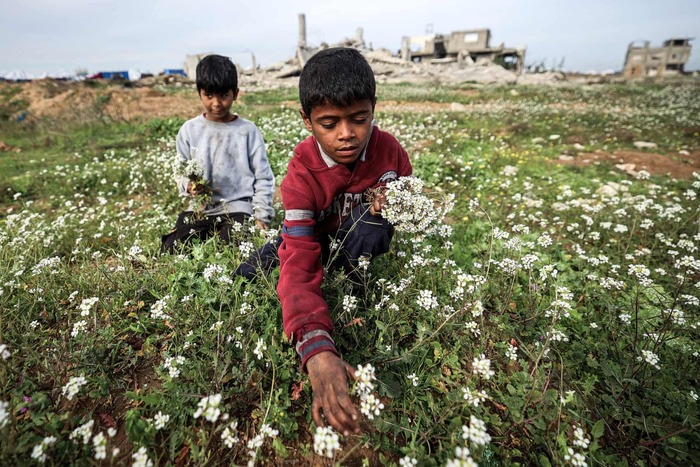 ����-���-�����, ����. �������� �������� ����� �� ����, ����� ����������� ������, � ������ ��� ������������ �������� ��������. ����������: ��� ����.