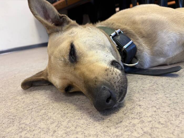 ����: ��� ��. �. �����