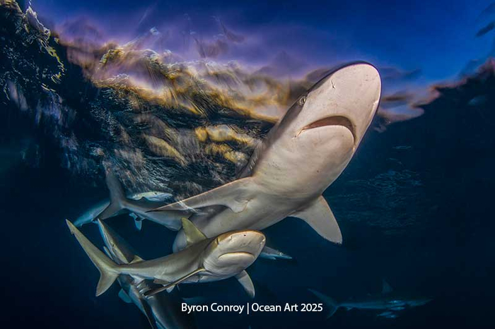 1-� ����� � ��������� ��������������� ��������