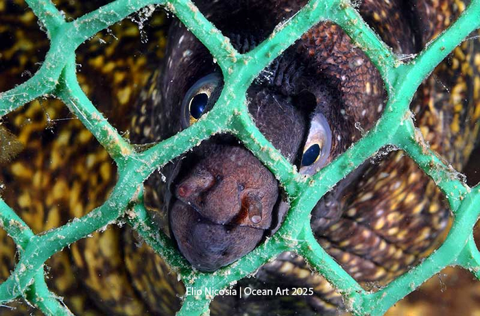 1-� ����� � ��������� ����������� ���������� ����