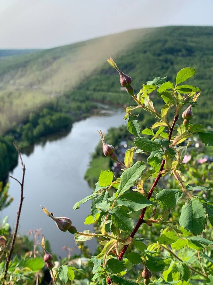 166 ���� ������� #135