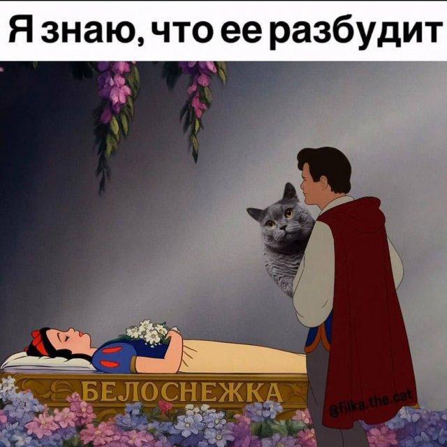 � ��, ������ ������ ���)