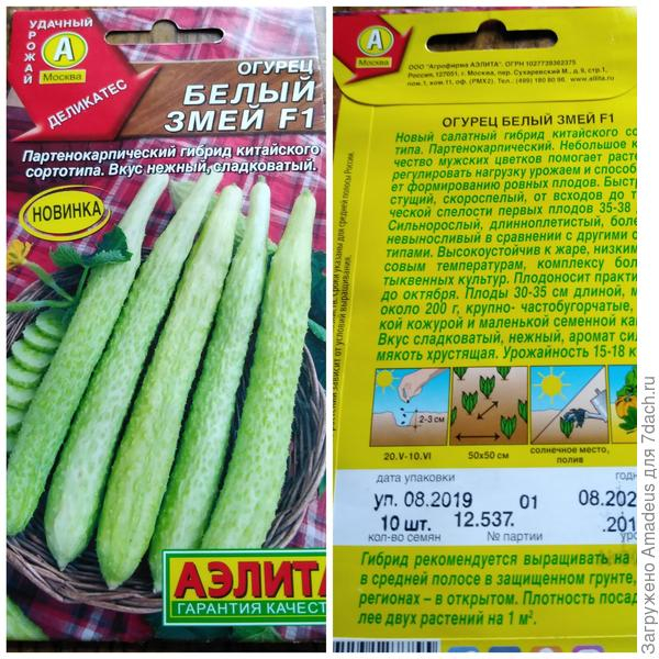 �� ���� ������� �� ��� ���� �����