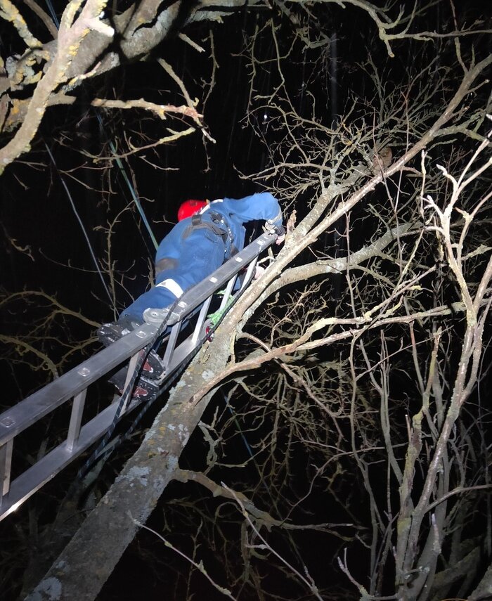 ��������� ����������� �� �����