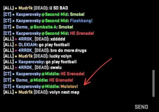 Ukrainian footballer Mudrik was banned from CS2 for insulting Poles. He reminded them of Volyn and 1939... - Politics, Ukraine, Poland, Screenshot, Computer games, Counter-strike, Ukrainians, Poles, Volyn massacre, Telegram (link), Link, Ban, Moderation, Stirring up, Nationalists