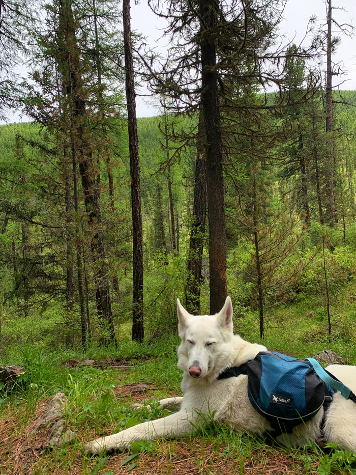 �������� �������� �� ������ ����� � ��������� ����� ��������� ������, ����� ����������))