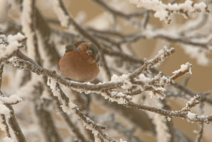 � �� ��� ������� ��������?!!