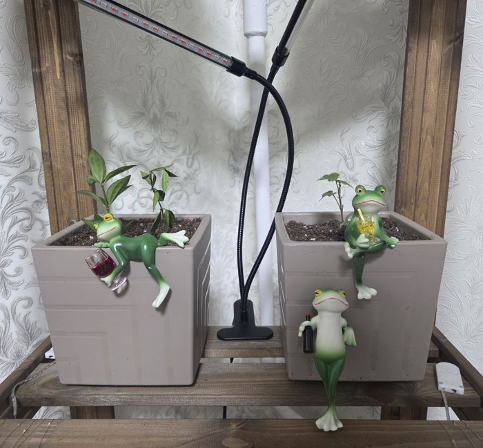 ����� ��������, ����� ���������)