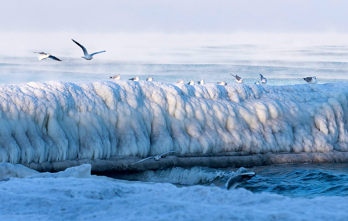 ��������� ����������� ���� � �������������//����: ��������� ���������/��� �������