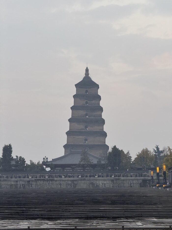 ������� ������ ����� �����