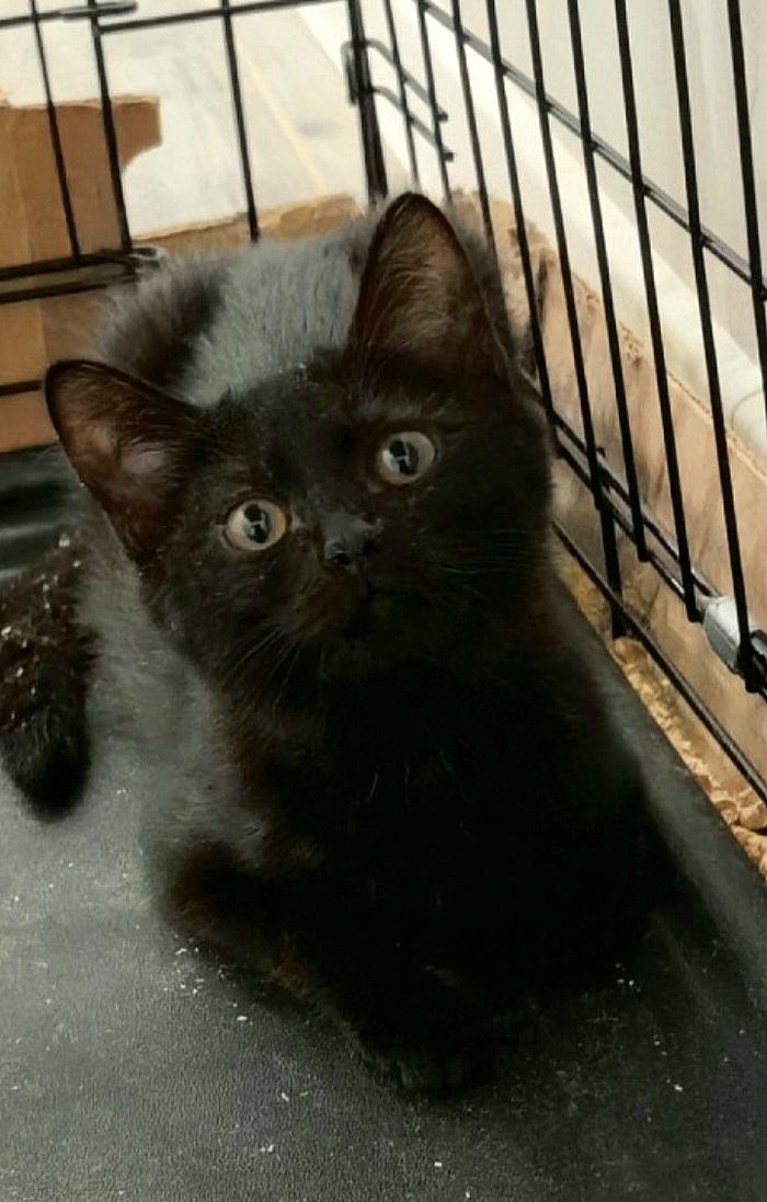 ���Ũ� � ���������� �� ����������. ��������� � �������� �������. �������� �������� �� ������