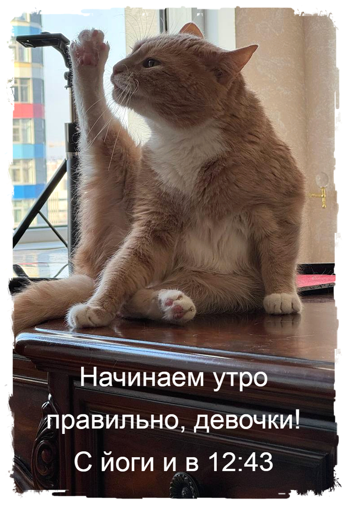 ���������� ����