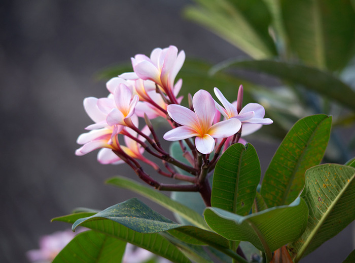 ����� ������ ������� ���������. ����� #03