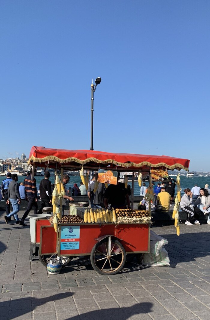 Что должен знать каждый турист перед поездкой в Стамбул