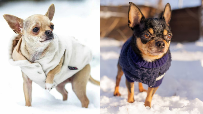 7 �����, ������� ������������� ����� ������ �����