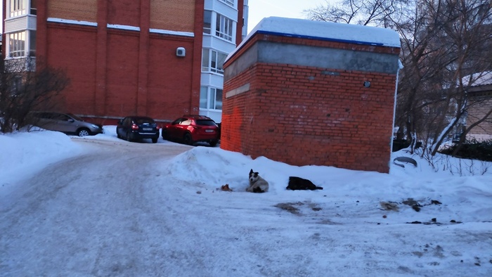 ���� ������. ������-�� ��� ������������ ��� ��������. ����� ������ ���� �������� ������� � ������.