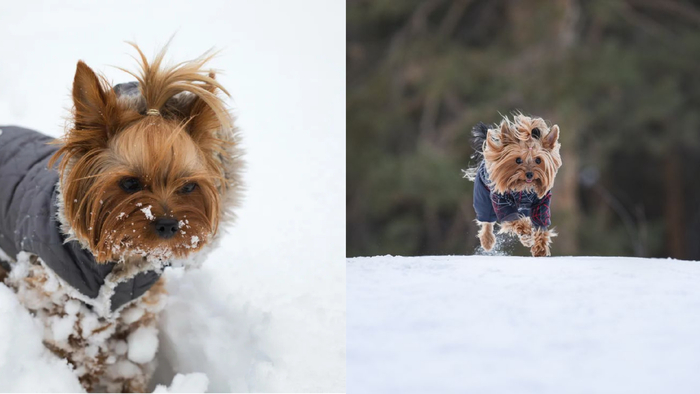 7 �����, ������� ������������� ����� ������ �����