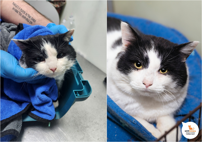 ��� ������, 3 ����, ������ �� �����.