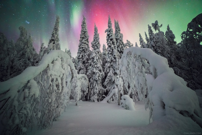 ����: ������� ���� <a href="https://pikabu.ru/story/krasota_severa_13666097?u=https%3A%2F%2Frtraveler.ru%2Fphoto%2F1481080%2F%3Fnew_photos%3D1&t=%D0%BE%D1%82%D1%81%D1%8E%D0%B4%D0%B0&h=cfddca94b93c5a7052e15d0cf97b48e966452543" title="https://rtraveler.ru/photo/1481080/?new_photos=1" target="_blank" rel="nofollow noopener">������</a>