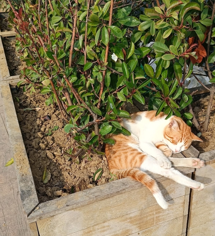 �������